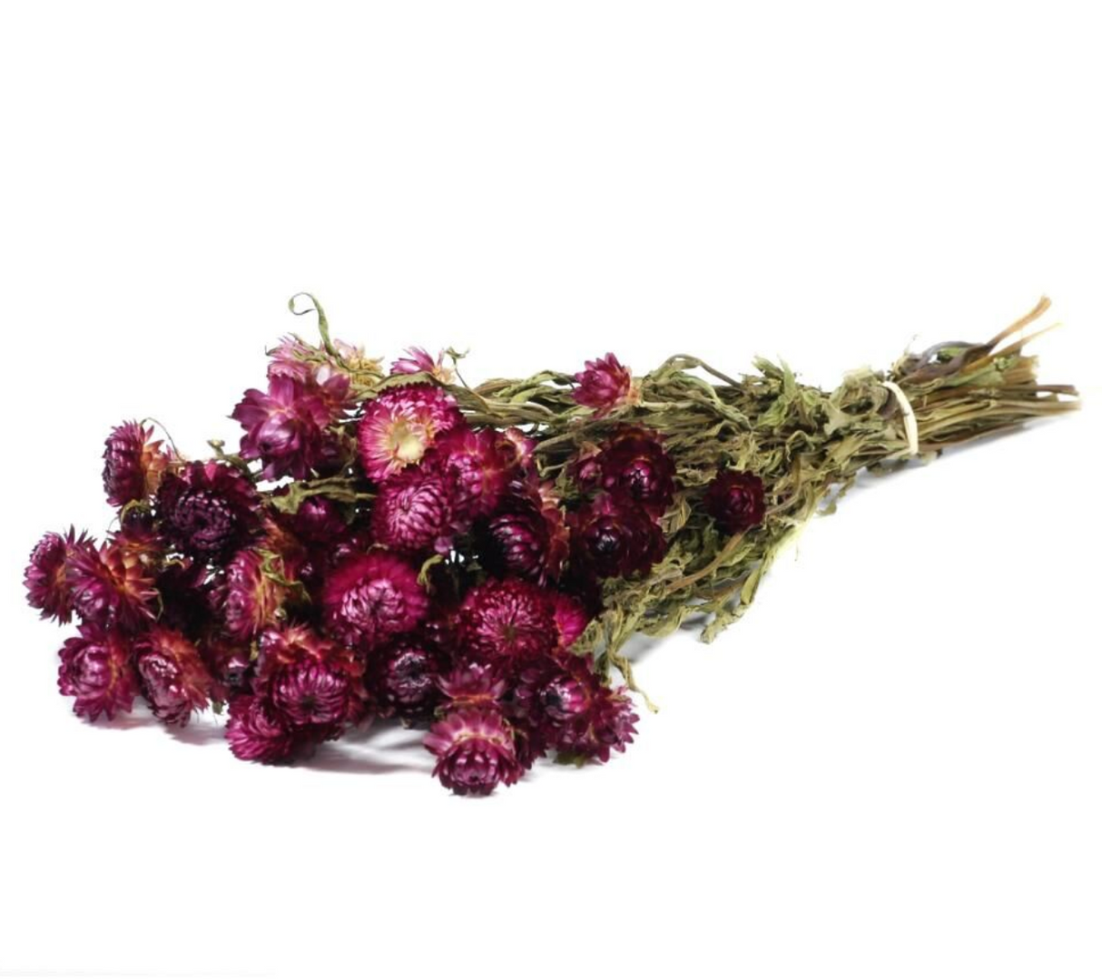 Helichrysum dried flower bouquet